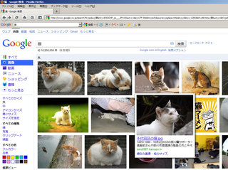 neko.jpg