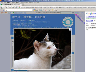 neko2.jpg